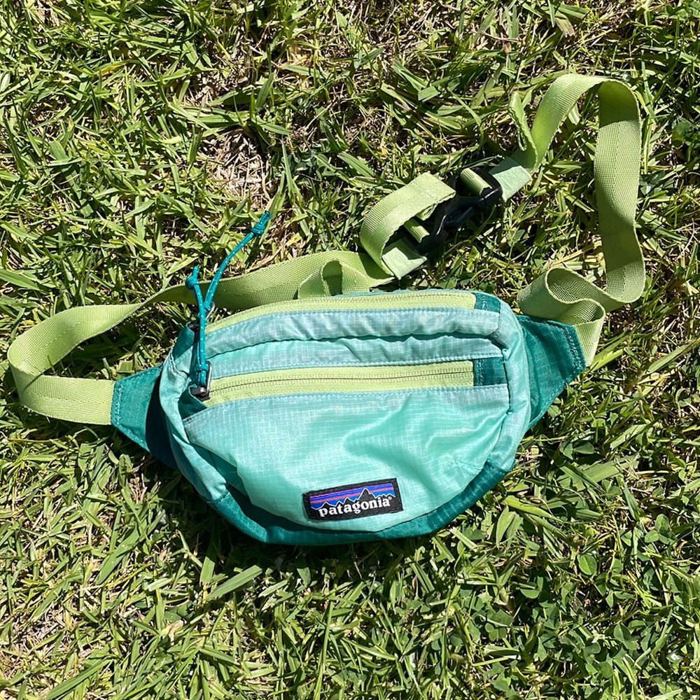 Patagonia Fanny pack
